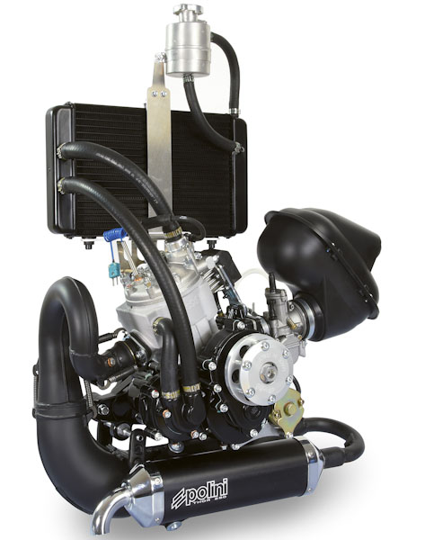 The successful Polini Thor 250 engine in its renewed 2019 version.