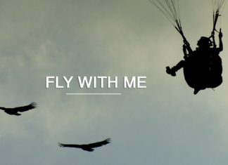 Fly with me – Soaring with vultures