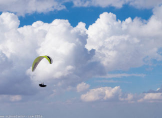 ¡Open XC de FIA El Yelmo cerró con vuelos de +200km!