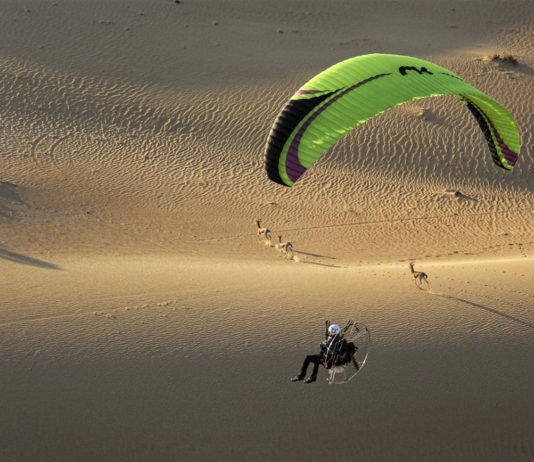 Niviuk launched reflex paraglider Dobermann 2