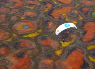 Paramotor sobre la tundra rusa tras cisnes Flight of the Swan