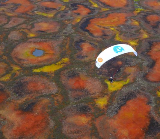 Paramotoring over the Russian tundra following swans