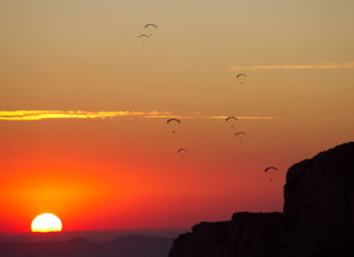 Ojovolador busca colaborador para redacción