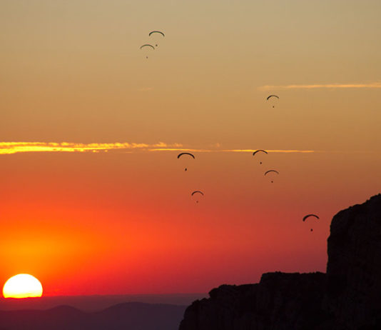 Ojovolador busca colaborador para redacción