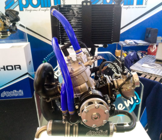 Polini launches the new Thor 202 engine and renews the successful Thor 250