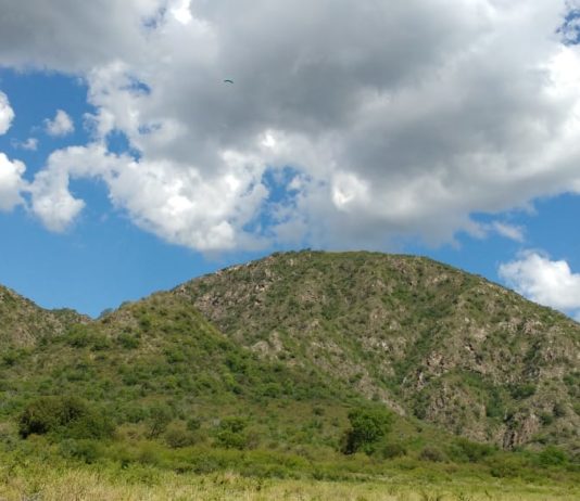 El Tercer Ojo: Variómetro, Radio y Ruido Foto Cuchi Corral