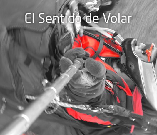 VESTIBULAR y KINESTÉSICO: Dos sentidos para “encender” y volar mejor