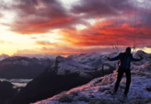 2020 Nova Pilots of the Year