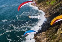 El azúcar y la especia: Gin Bolero 7