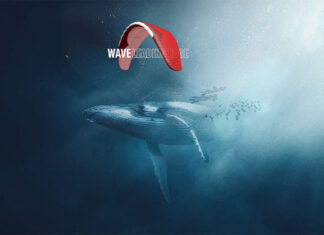 Nuevo Gin Boomerang 12: ¿Vuelan las ballenas?