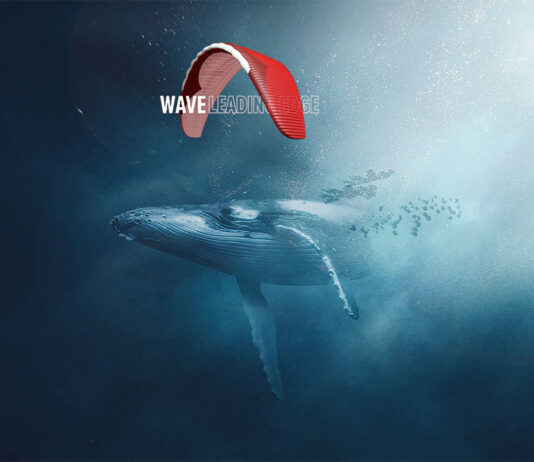 Nuevo Gin Boomerang 12: ¿Vuelan las ballenas?