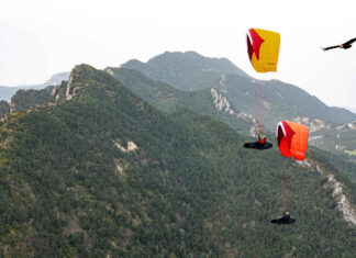 Avid, the new Sport XC paraglider by Gin