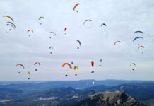 6 reasons for visiting FIA El Yelmo 2023. FIA el Yelmo 2022