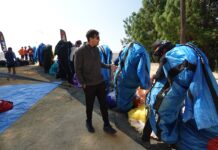 Size does matter: The new harness trends