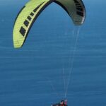 profly-leeloo-x-overlay-mocca-3