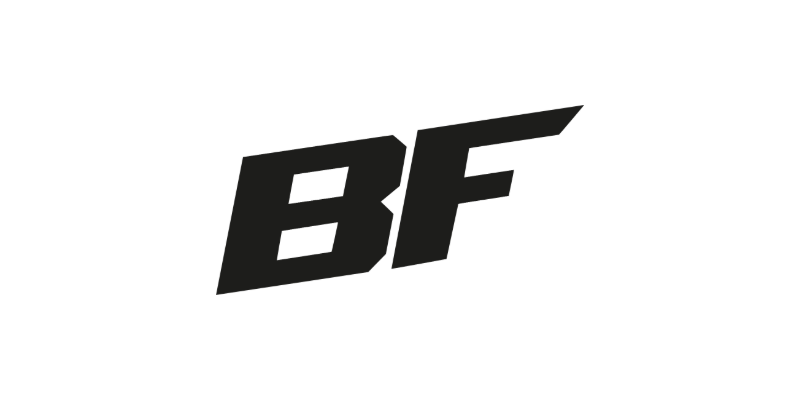 Logo de BogdanFly