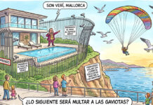 Parapente en Son Verí y el síndrome del cielo privado: ¿lo siguiente será multar a las gaviotas? Parapente en Son Verí, Mallorca